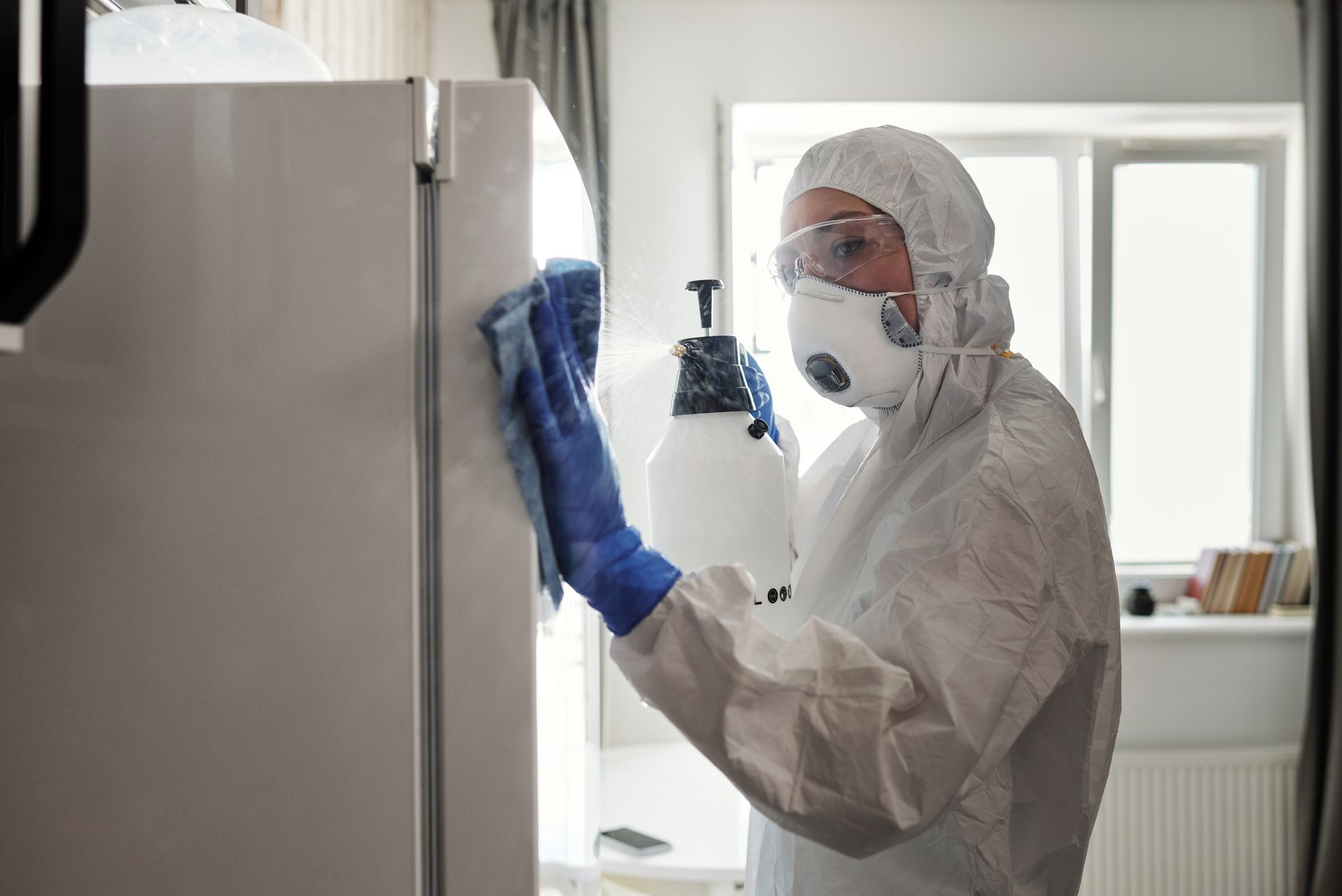 Interior Pest Control — Terry Peddy Pest Control