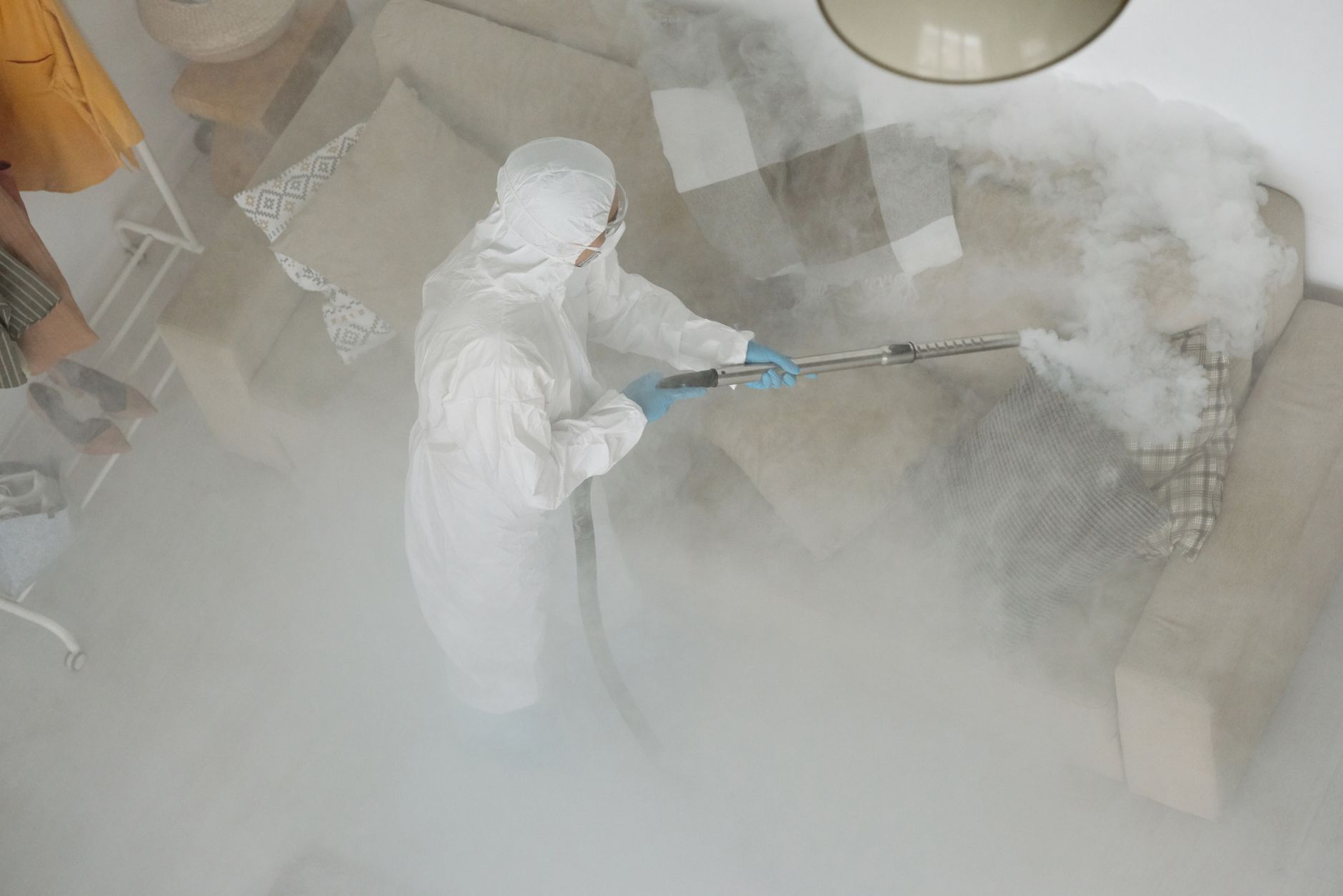 Termite Inspections — Terry Peddy Pest Control